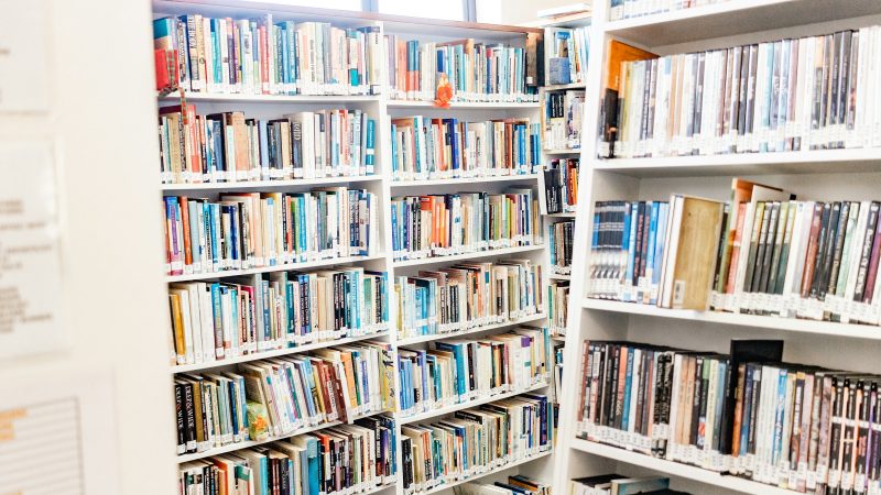 Sunny library stacks